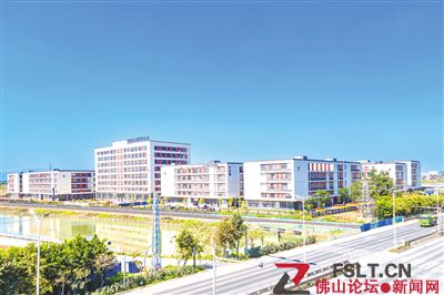 三水區(qū)委副書記、白坭鎮(zhèn)黨委書記洪普清：干字當(dāng)頭落實為要 全力挺進佛北新戰(zhàn)場