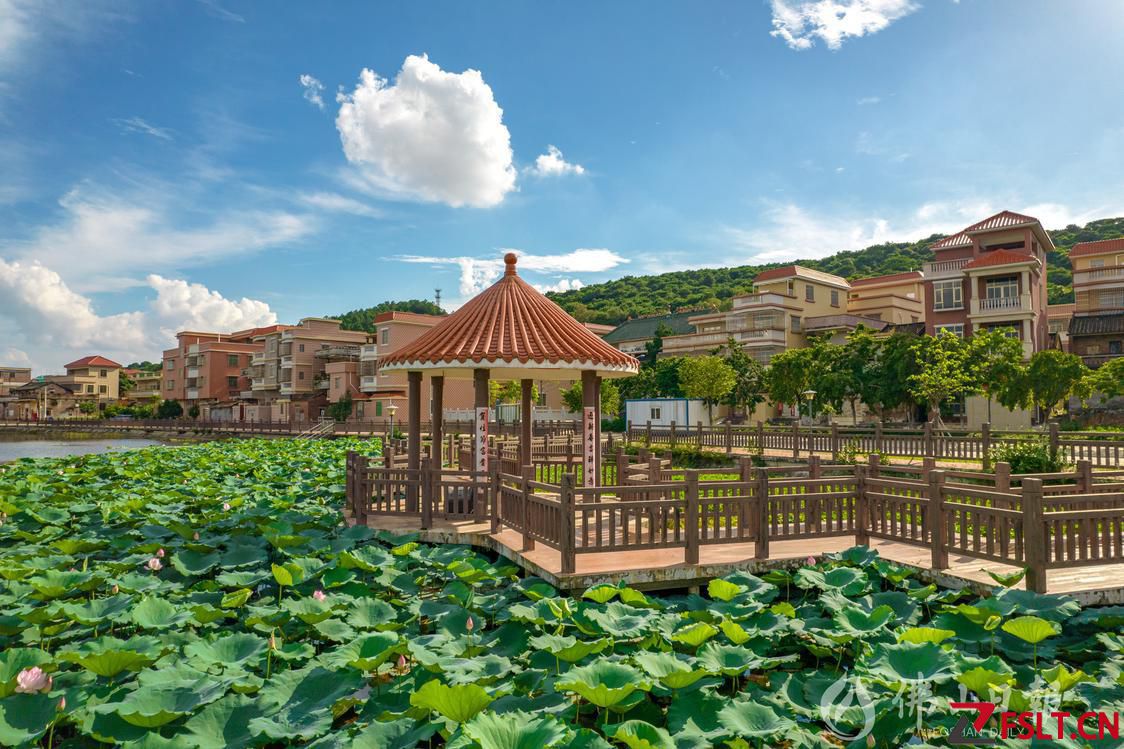 高明荷城舉行第二季度村規(guī)民約積分管理頒獎(jiǎng)儀式