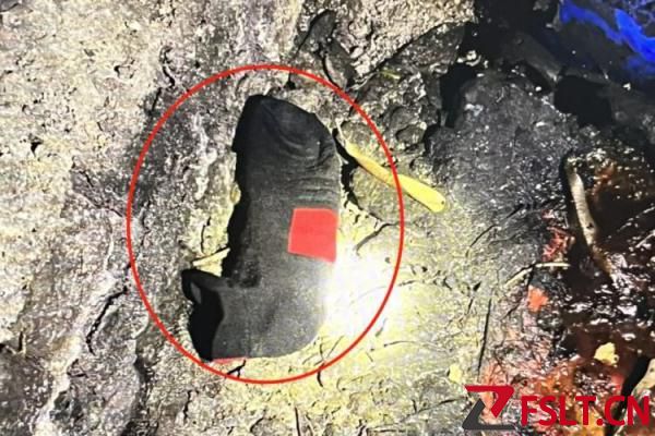 火眼金睛！代駕僅穿一只襪子民警憑此速破竊案