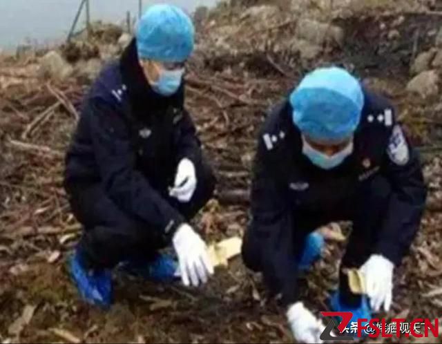 為爭(zhēng)家產(chǎn)，佛山19歲少女活埋兄妹于石榴樹下，案發(fā)原因，枝葉枯落