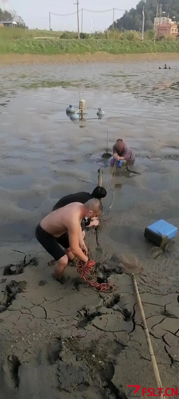 哭笑不得！佛山男子被困魚塘，向人求救卻被誤以為“打招呼”……