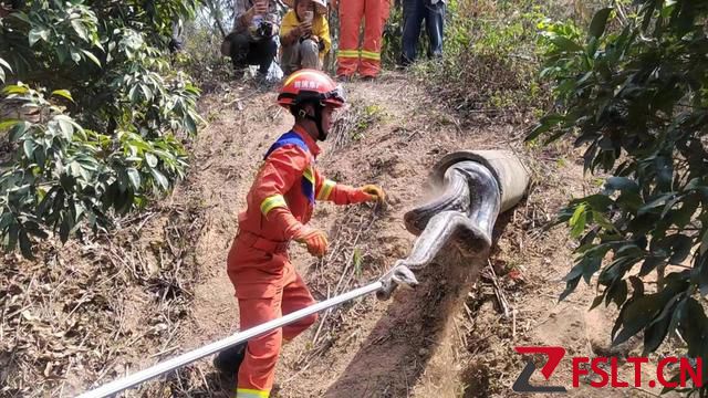 嚇人！廣東一地驚現5米巨蟒！為國家保護動物，遇到蟒蛇該怎么辦