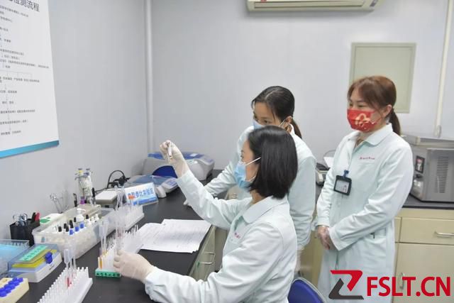 極罕見！佛山發(fā)現(xiàn)1例“恐龍血”！