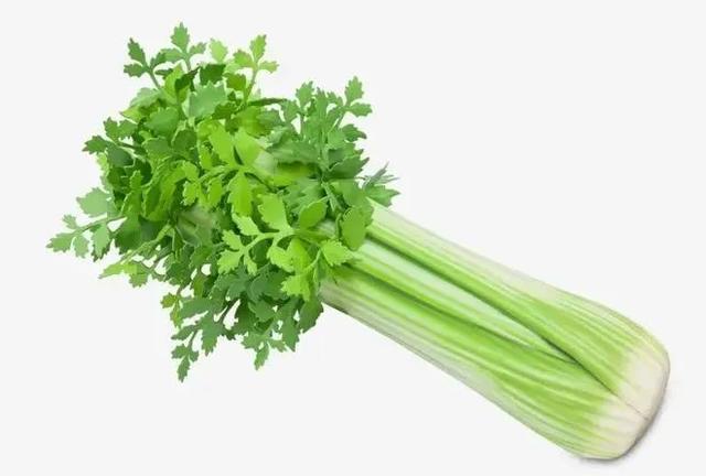 3萬元買把“芹菜”，奢侈品牌秋冬新品引熱議！網(wǎng)友：還是假的？