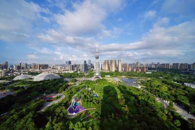 前10月禪城市場主體同比增長14.92%